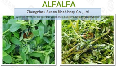 Alfalfa Rotary Dryer, Alfalfa Dryer, Alfalfa Drying Machine, alfalfa drying system