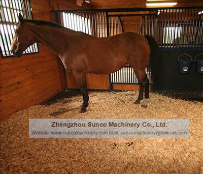 Dried wood shavings used as animal beddings for horse,